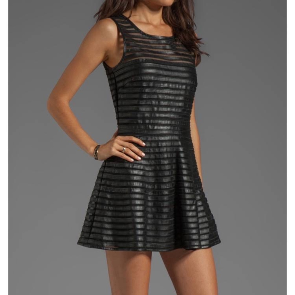 Parker Leather A-Line Stripe Skater Dress